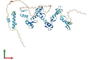 Protein Structure (PS) image for Zinc Finger Protein 19 (ZNF19) (AA 1-458) protein (His tag) (ABIN7545593)