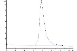 The purity of Biotinylated Human CD47 is greater than 95 % as determined by SEC-HPLC.