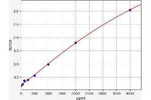 CD8 alpha ELISA 试剂盒