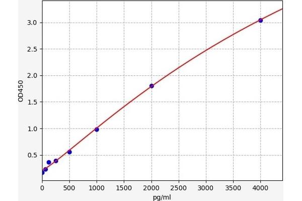 CD8 alpha ELISA 试剂盒