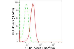 Flow cytometric analysis of ULK1 expression in HepG2 cells using ULK1 antibody (ABIN7800768), 1:2,000).