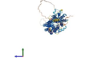 Protein Structure (PS) image for Organic Anion Transporter H (OATP-H) (AA 1-724) protein (His tag) (ABIN7555515)