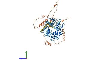 Protein Structure (PS) image for Zinc Finger Protein 530 (ZNF530) (AA 1-599) protein (His tag) (ABIN7545332)