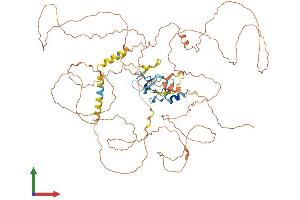 Protein Structure (PS) image for Sciellin (SCEL) (AA 1-688) protein (His tag) (ABIN7545859)