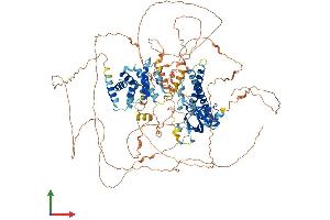 Protein Structure (PS) image for Pleckstrin and Sec7 Domain Protein (PSD) (AA 1-1024) protein (His tag) (ABIN7563806)