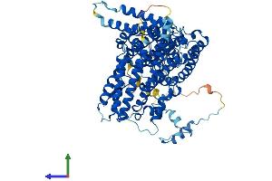 Protein Structure (PS) image for MAK10 Homolog, Amino-Acid N-Acetyltransferase Subunit (MAK10) (AA 1-725) protein (His tag) (ABIN7549632)