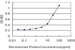 Detection limit for recombinant GST tagged MEOX1 is approximately 0. (MEOX1 抗体  (AA 165-252))