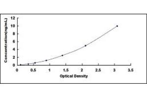 Typical standard curve (MUC20 ELISA 试剂盒)