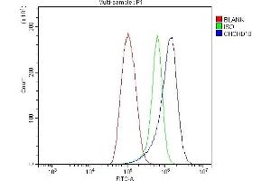 Flow Cytometry analysis of THP-1 cells using anti-CHCHD10 antibody (ABIN7602507). (CHCHD10 抗体  (AA 80-142))