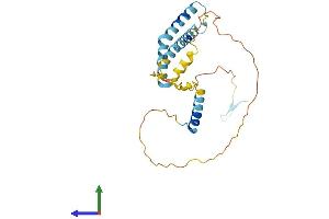Protein Structure (PS) image for OCIA Domain Containing 1 (OCIAD1) (AA 1-245) protein (His tag) (ABIN7550065)