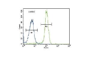 Flow Cytometry (FACS) image for anti-Succinate Dehydrogenase Complex, Subunit D, Integral Membrane Protein (SDHD) (AA 13-42), (N-Term) antibody (ABIN656089)