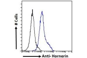 ABIN238644 Flow cytometric analysis of paraformaldehyde fixed A549 cells (blue line), permeabilized with 0. (HRNR 抗体  (Internal Region))