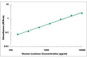 Representative Standard Curve (LUM ELISA 试剂盒)