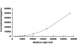 ELISA image for beta-2-Microglobulin (B2M) CLIA Kit (ABIN491851)