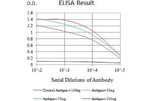 Black line: Control Antigen (100 ng),Purple line: Antigen (10 ng), Blue line: Antigen (50 ng), Red line:Antigen (100 ng) (CCL4 抗体  (AA 24-92))