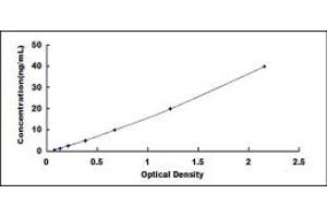 Typical standard curve (LAMa4 ELISA 试剂盒)