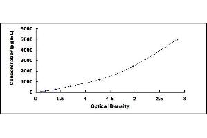 Typical standard curve (PRCP ELISA 试剂盒)