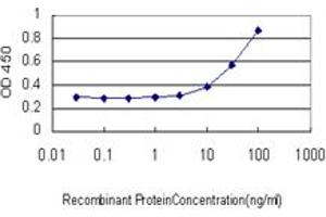 Detection limit for recombinant GST tagged TBX6 is approximately 3ng/ml as a capture antibody. (T-Box 6 抗体  (AA 191-299))