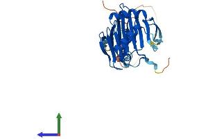 Protein Structure (PS) image for AlkB, Alkylation Repair Homolog 3 (ALKBH3) (AA 1-286) protein (His tag) (ABIN7559472)
