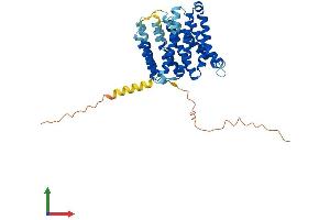 Protein Structure (PS) image for Solute Carrier Family 35, Member F2 (SLC35F2) (AA 1-375) protein (His tag) (ABIN7558213)
