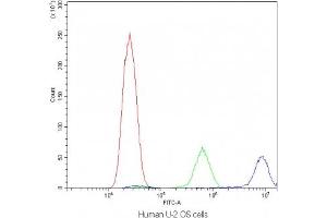 Flow Cytometry (FACS) image for anti-Calpastatin (CAST) (AA 275-310) antibody (ABIN5647087)