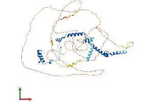 Protein Structure (PS) image for Phosphatase and Actin Regulator 2 (PHACTR2) (AA 1-634) protein (His tag) (ABIN7550667)