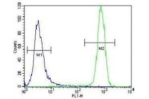 c-Kit antibody flow cytometric analysis of NCI-H460 cells (green) compared to a negative control cell (blue). (KIT 抗体  (AA 106-135))