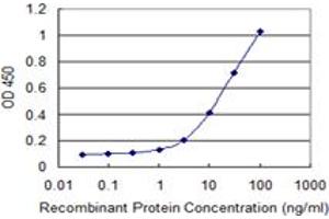 Detection limit for recombinant GST tagged RNF113A is 0. (RNF113A 抗体  (AA 1-343))