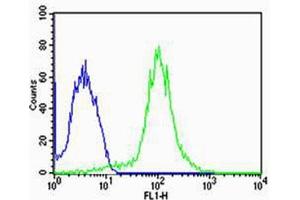 Flow cytometric analysis of MCF-7 cells using FBXL17 Isoform 2 Antibody (C-term)(green, Cat(ABIN1944744 and ABIN2838540)) compared to an isotype control of rabbit IgG(blue). (FBXL17 抗体  (C-Term, Isoform 2))