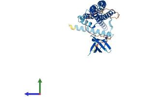AlphaFold protein structure predicition of Mouse Recombinant Sh3glb1 Protein, UniprotID Q9JK48