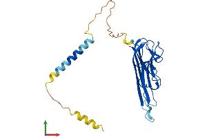 Protein Structure (PS) image for Tumor Necrosis Factor alpha (TNF alpha) (AA 1-235) protein (His tag) (ABIN7562751)