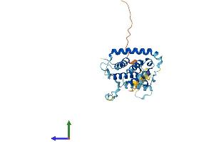 AlphaFold protein structure predicition of Human Recombinant GEMIN2 Protein, UniprotID O14893