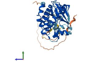 Protein Structure (PS) image for Aurora Kinase C (AURKC) (AA 1-309) protein (His tag) (ABIN7552489)