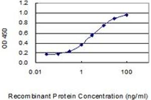 Detection limit for recombinant GST tagged SLC45A4 is 0. (SLC45A4 抗体  (AA 1-192))