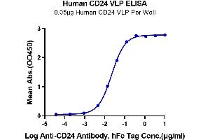 Immobilized Human CD24 VLP at 0. (CD24 Protein-VLP (AA 27-59))
