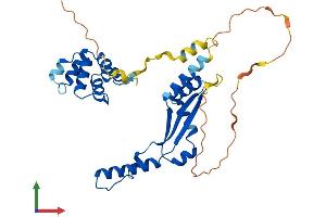 AlphaFold protein structure predicition of Mouse Recombinant Dedd Protein, UniprotID Q9Z1L3