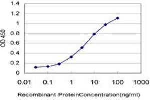 Detection limit for recombinant GST tagged ARAF is approximately 0. (ARAF 抗体  (AA 151-250))