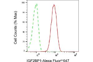Flow cytometric analysis of IGF2BP1 expression in HT- cells using IGF2BP1 antibody (ABIN7799050), 1:2,000). (Recombinant IGF2BP1 抗体)