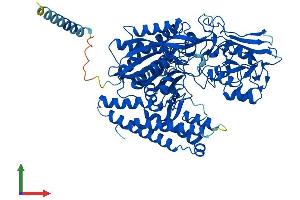 Protein Structure (PS) image for N-Acetylated alpha-Linked Acidic Dipeptidase-Like 1 (NAALADL1) (AA 1-745) protein (His tag) (ABIN7558206)