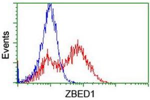 Image no. 2 for anti-Zinc Finger, BED-Type Containing 1 (ZBED1) antibody (ABIN1501795) (ZBED1 抗体)