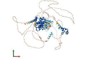 AlphaFold protein structure predicition of Mouse Recombinant Nek4 Protein, UniprotID Q9Z1J2 (NEK4 Protein (AA 1-792) (His tag))
