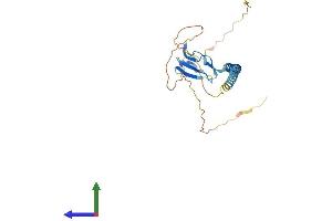 Protein Structure (PS) image for Sushi Domain Containing 3 (SUSD3) (AA 1-255) protein (His tag) (ABIN7546428)