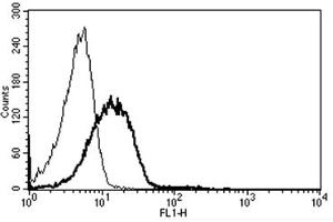 Flow Cytometry (FACS) image for anti-Intercellular Adhesion Molecule 2 (ICAM2) antibody (ABIN1105726) (ICAM2 抗体)