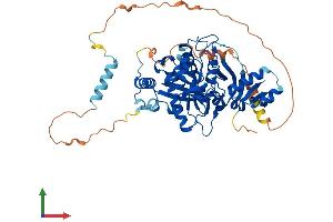 Protein Structure (PS) image for Arginyltransferase 1 (ATE1) (AA 1-518) protein (His tag) (ABIN7552463)