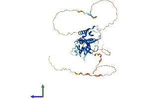 Protein Structure (PS) image for Pleckstrin Homology Domain Containing Family A2 (PLEKHA2) (AA 1-425) protein (His tag) (ABIN7550718)