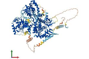 Protein Structure (PS) image for DEAH (Asp-Glu-Ala-His) Box Polypeptide 36 (DHX36) (AA 1-1001) protein (His tag) (ABIN7564765)