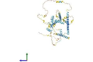 Protein Structure (PS) image for Protein Red (IK) (AA 1-557) protein (His tag) (ABIN7551277)
