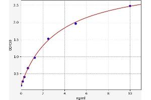 COL2A1 ELISA 试剂盒