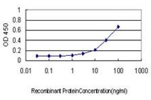 Detection limit for recombinant GST tagged SEPT10 is approximately 1ng/ml as a capture antibody. (Septin 10 抗体  (AA 1-454))