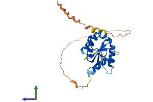 Protein Structure (PS) image for Toll-Interleukin 1 Receptor (TIR) Domain Containing Adaptor Protein (TIRAP) (AA 1-221) protein (His tag) (ABIN7544472)